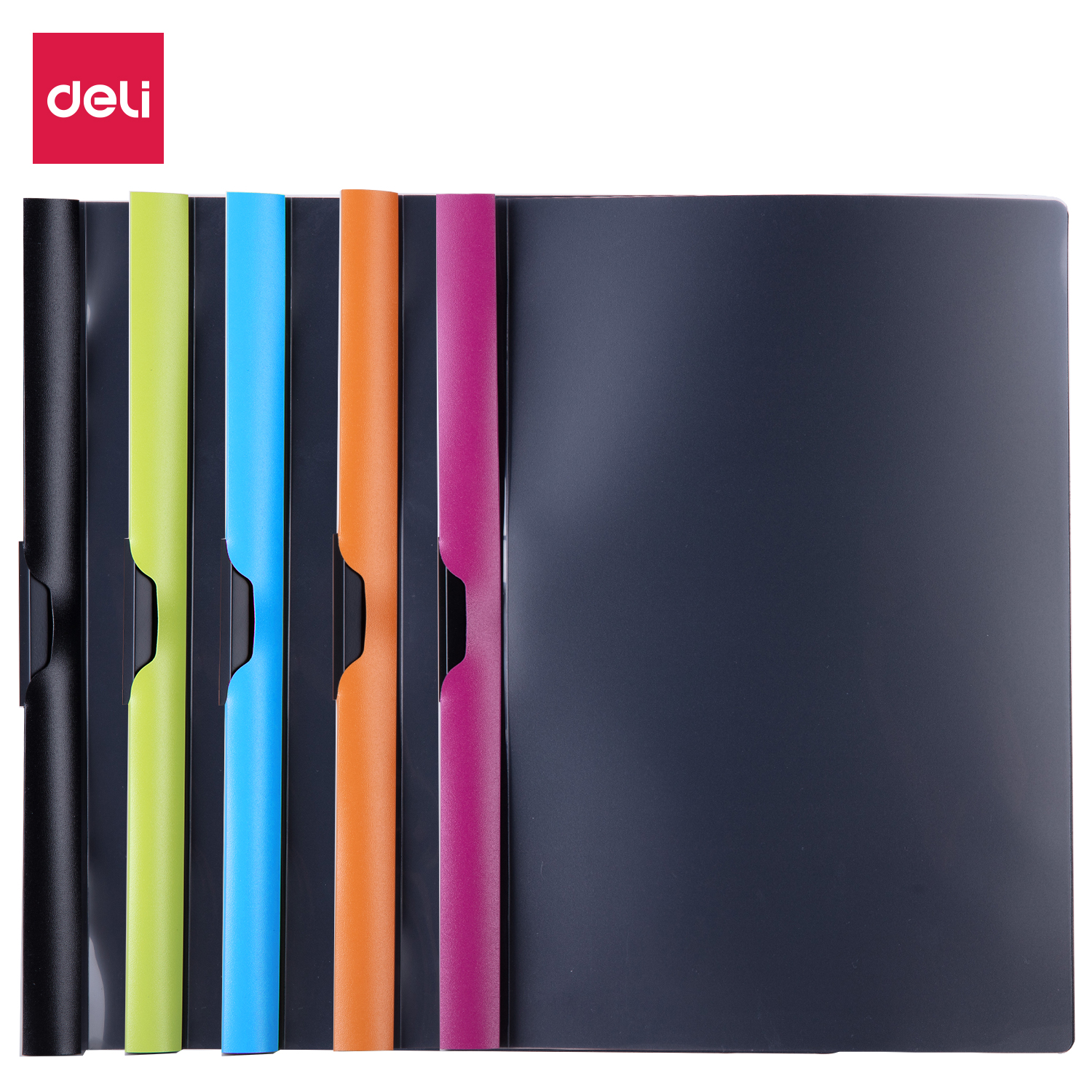 ملف التقرير