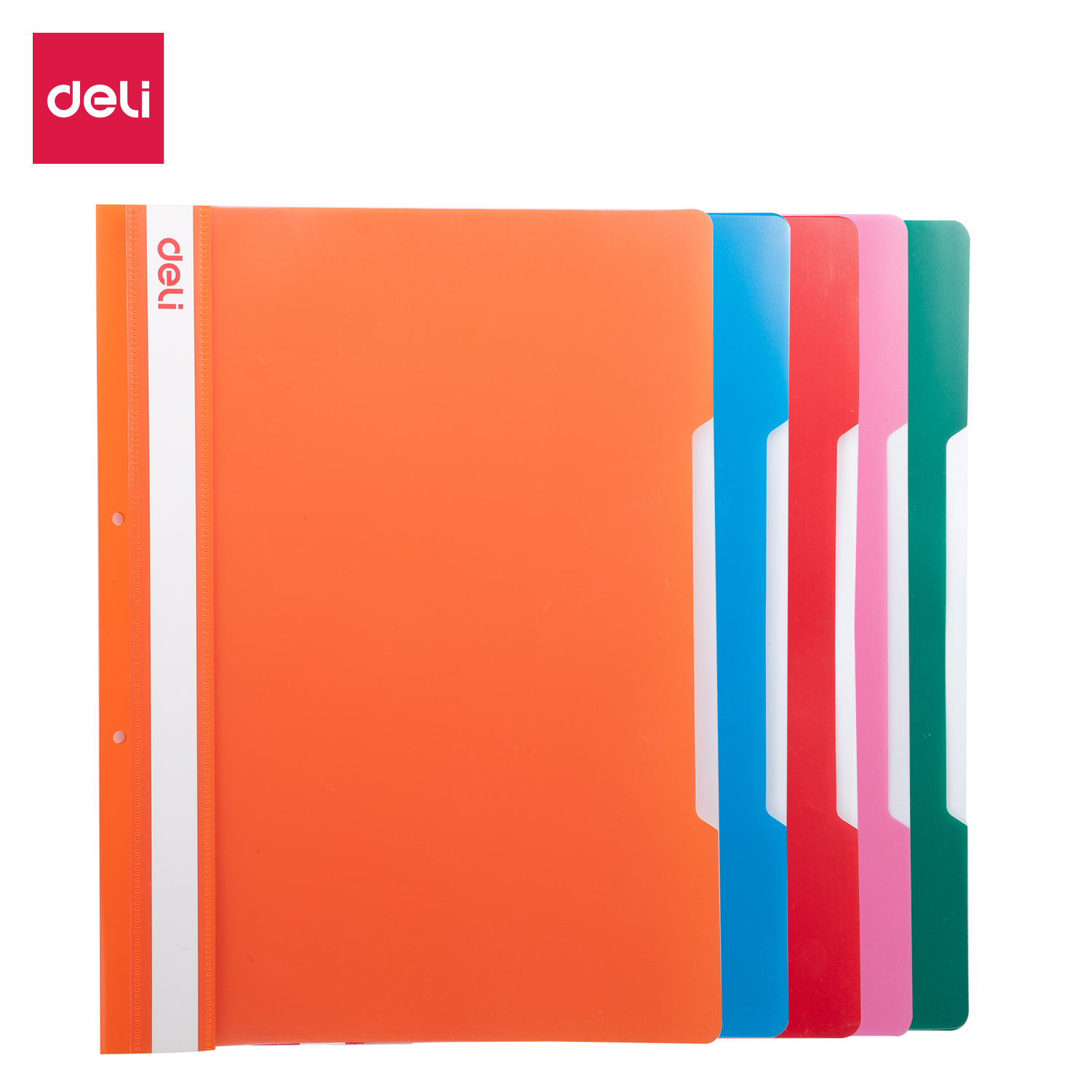 ملف التقرير