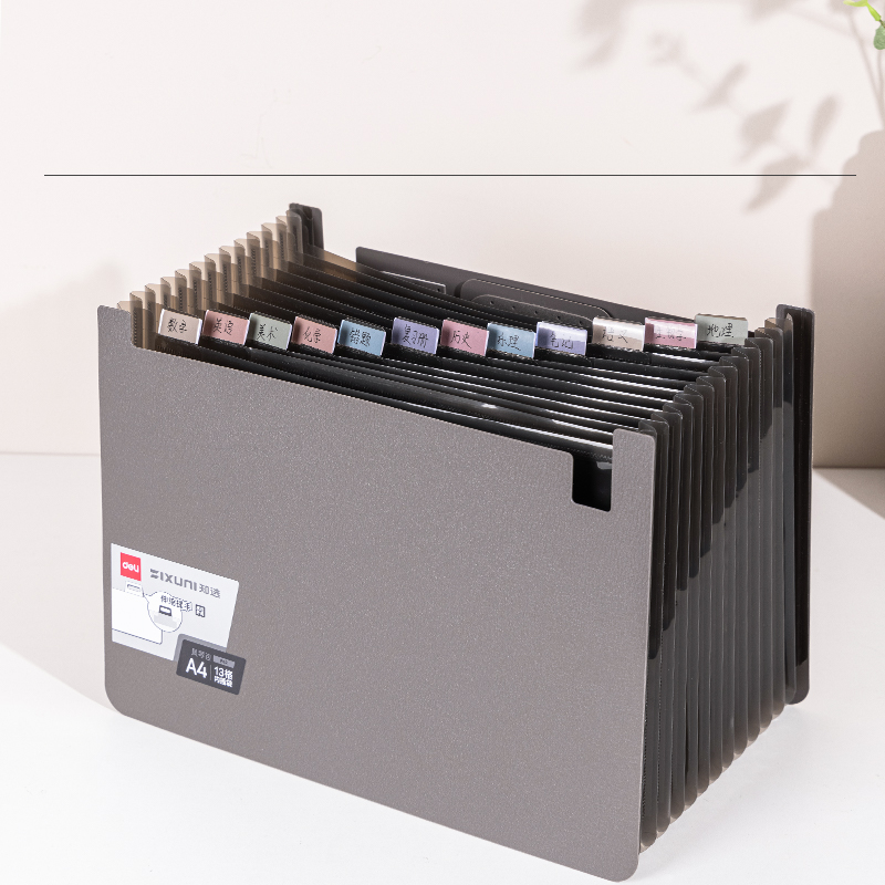 Deli-P62 Expanding File