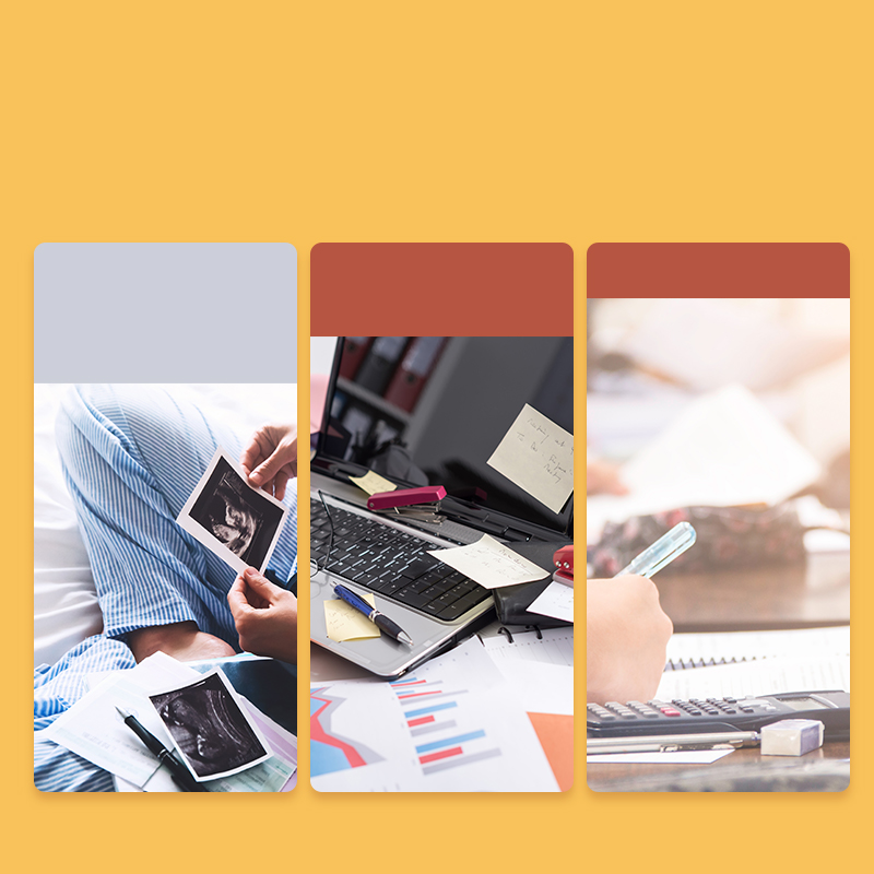 Deli-P63-30 Display Book