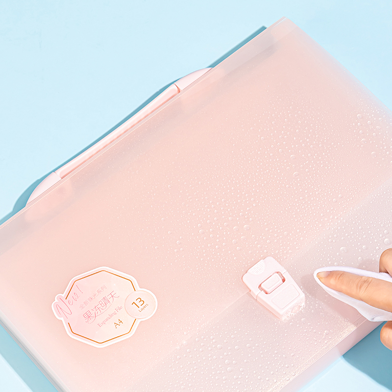 Deli-PM306 Expanding File