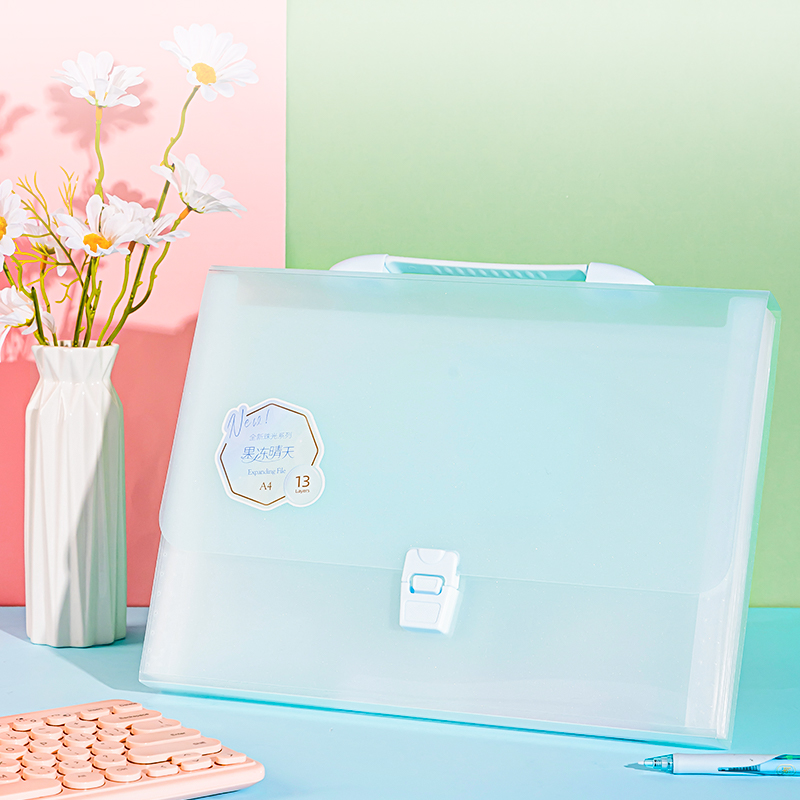 Deli-PM307 Expanding File