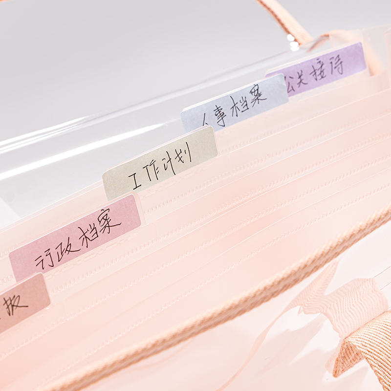 Deli-PM308 PVC Expanding File