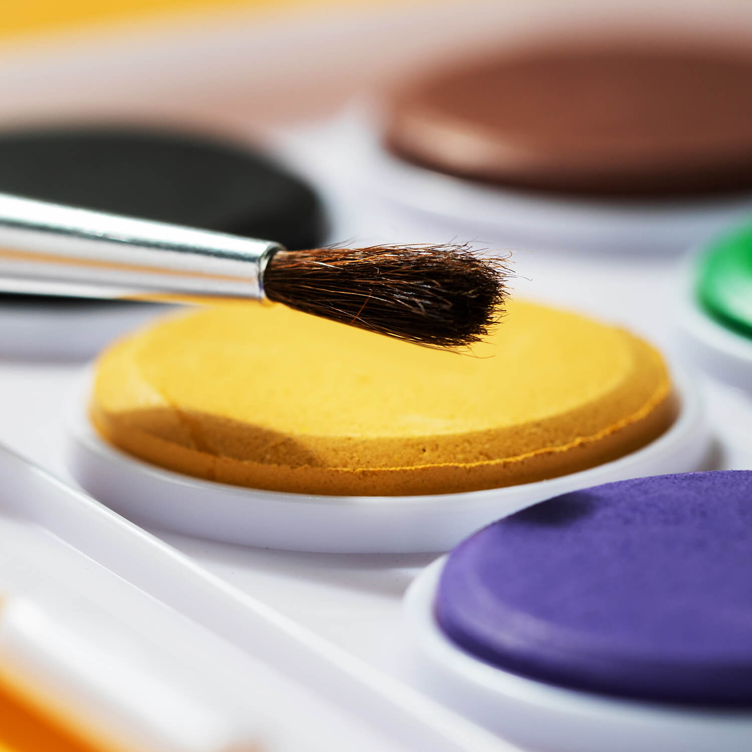 deli ec20 21 watercolor paint 3