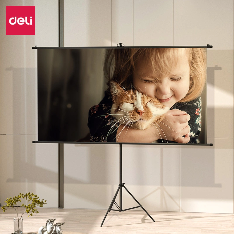 deli es902 projector screen5