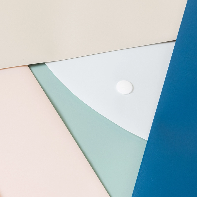 deli ef763 file bag2