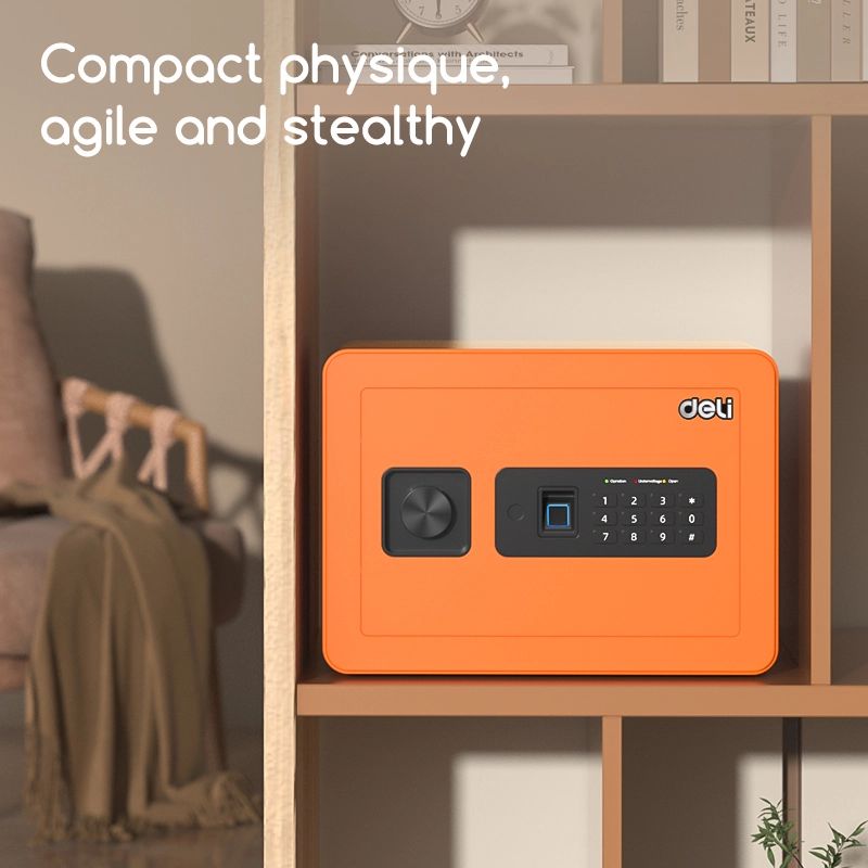 deli et590 fingerprint password safe2