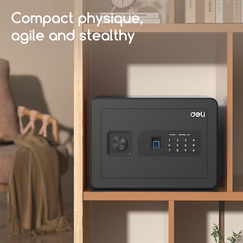 deli et591 fingerprint password safe2