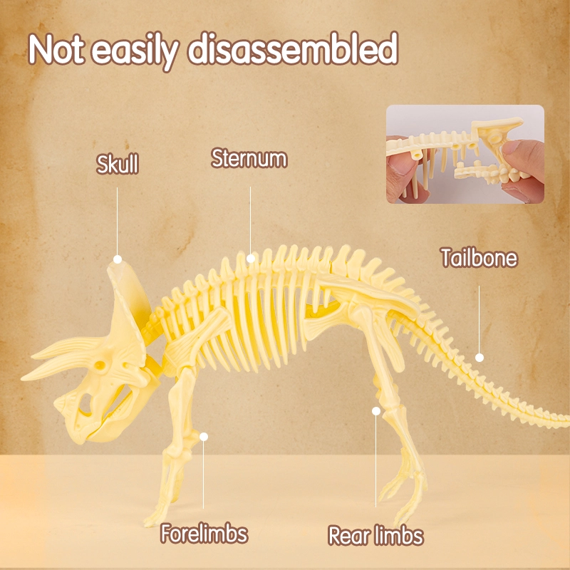 deli eh768 archaeological dig kit triceratops4