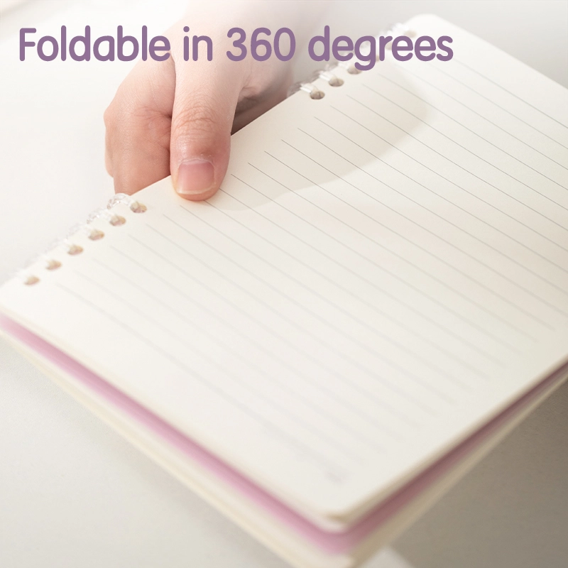 deli en210 loose leaf notebook a5 50sheets3