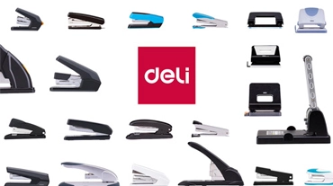 مقدمة الفئة: دباشة ولكمة