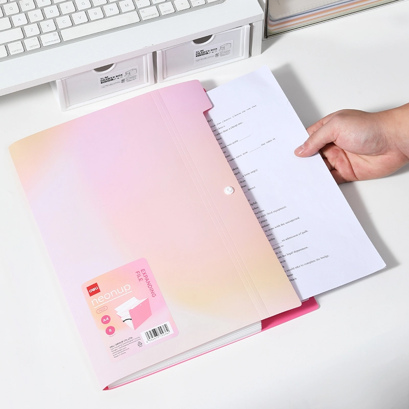 deli-ef623-expanding-file-6