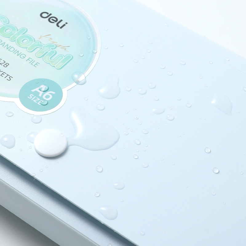 deli-ef628-expanding-file-5