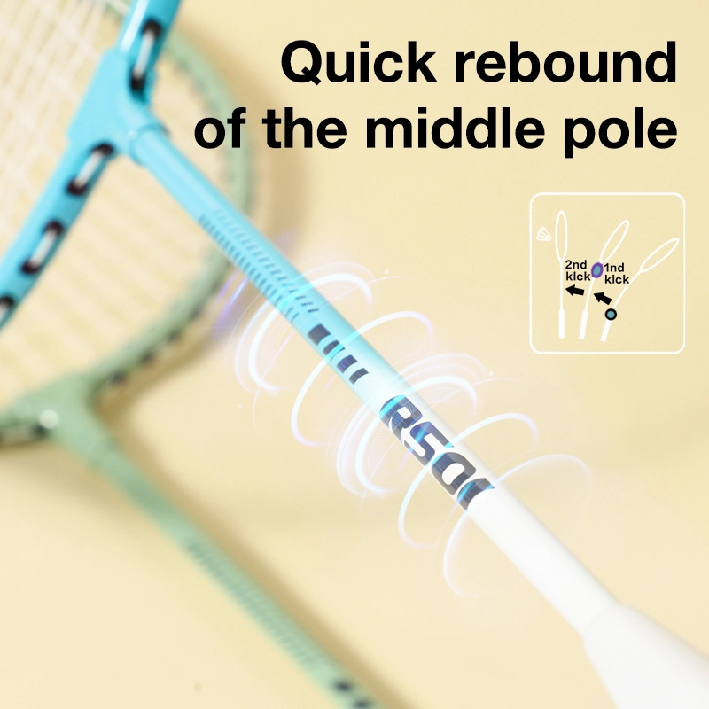 deli-er501-badminton-racket-4